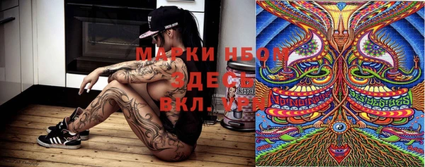 гашик Лабытнанги