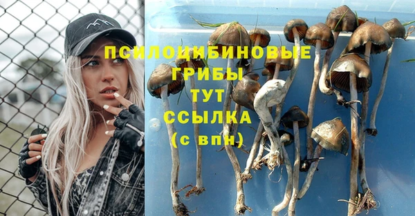 сатива Лагань