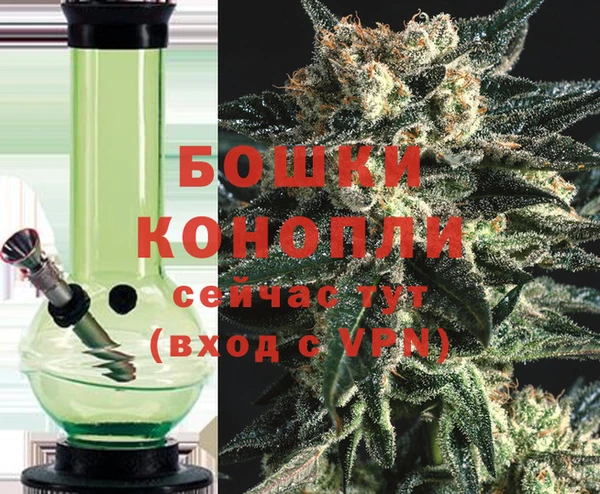 сатива Лагань