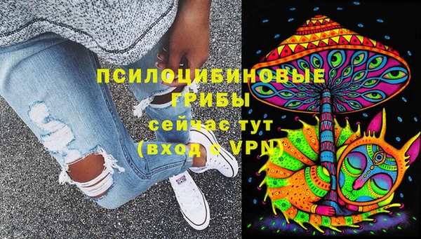 сатива Лагань